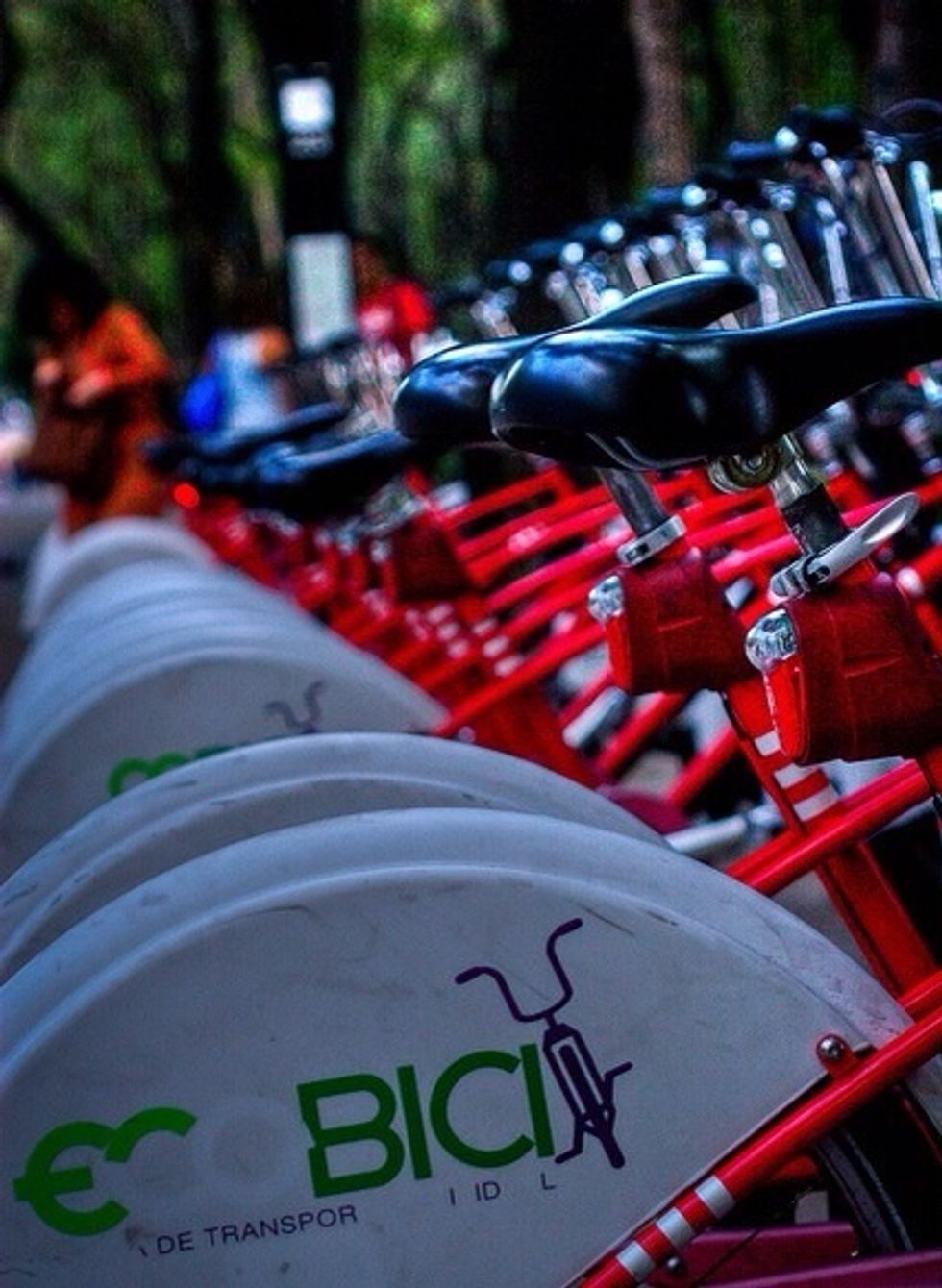La ecolog\u00eda es algo muy importante en el mundo hoy en d\u00eda, ya que nos estamos llenando de industrializaci\u00f3n y se est\u00e1 haciendo cada vez m\u00e1s complicado mantener y conservar el ecosistema.