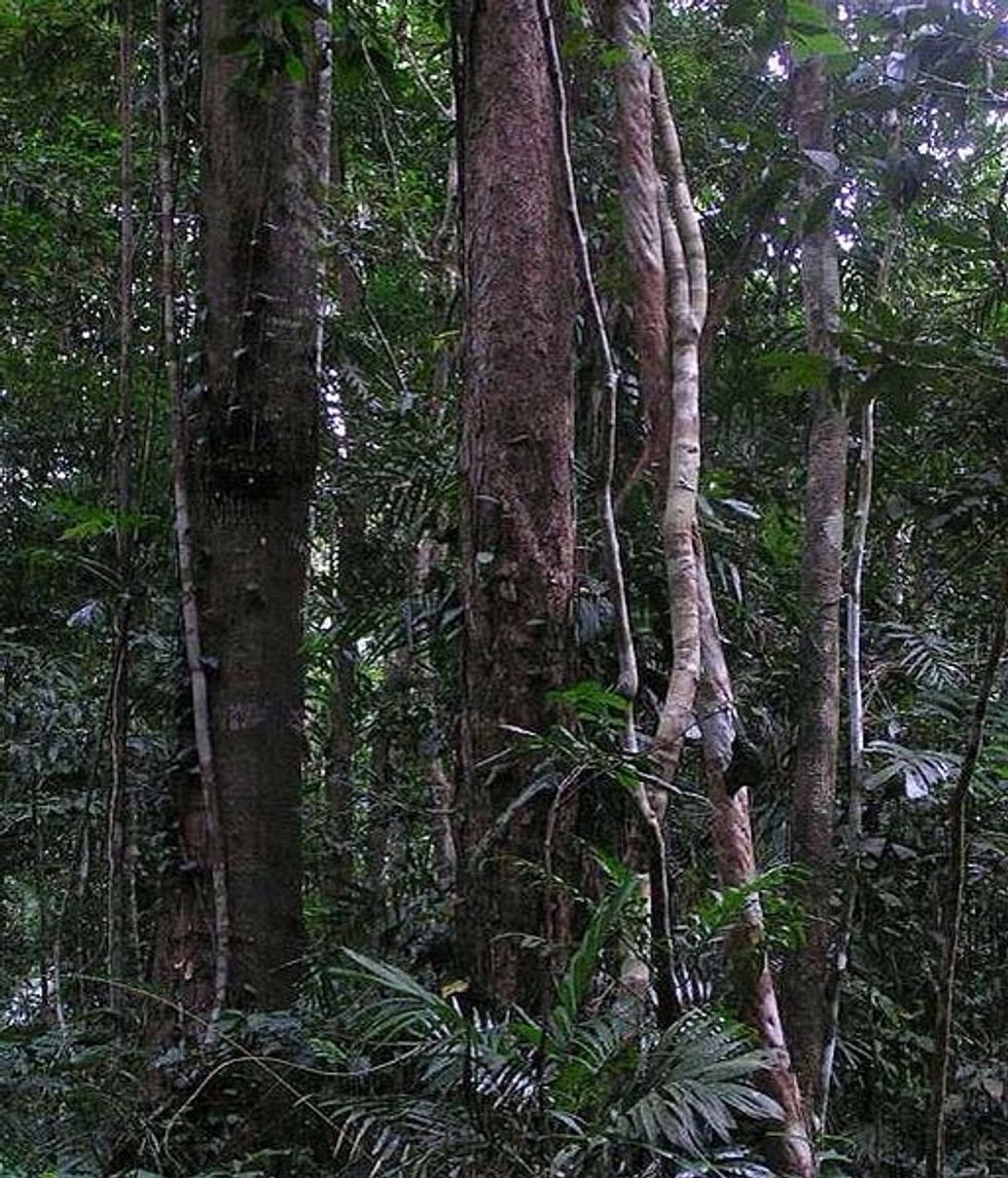 La suma total de la interacci\u00f3n de los organismos vivos y su medio no viviente en una zona que se denomina un ecosistema.