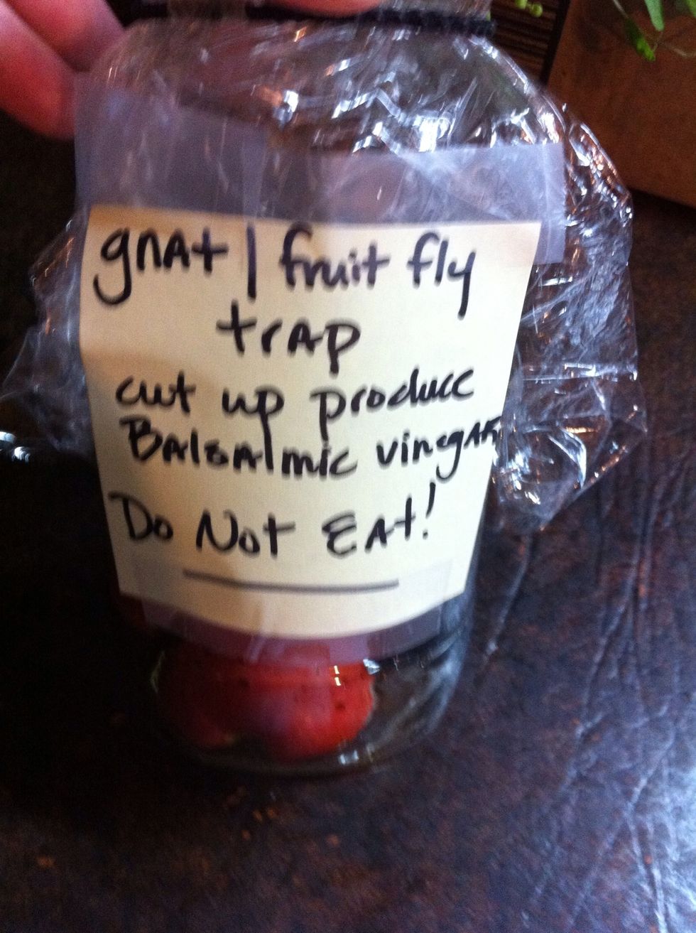 Label clearly.  Place in area Gnats/Fruit Flies were seen. Leave till no longer see the pests flying around. Toss your trap in trash.