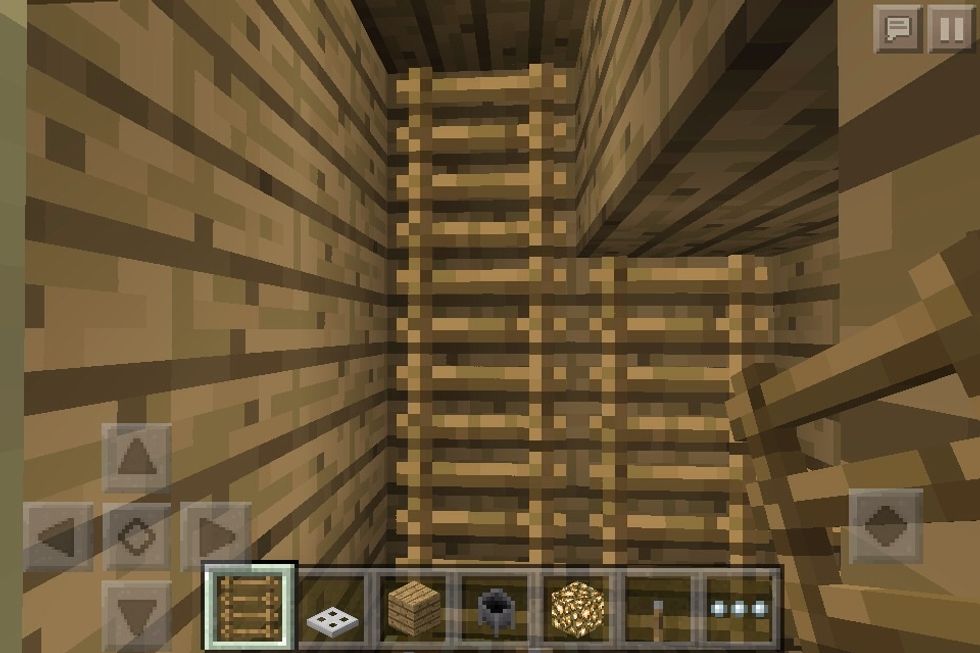 Ladders for hanging clothes on in a closet!