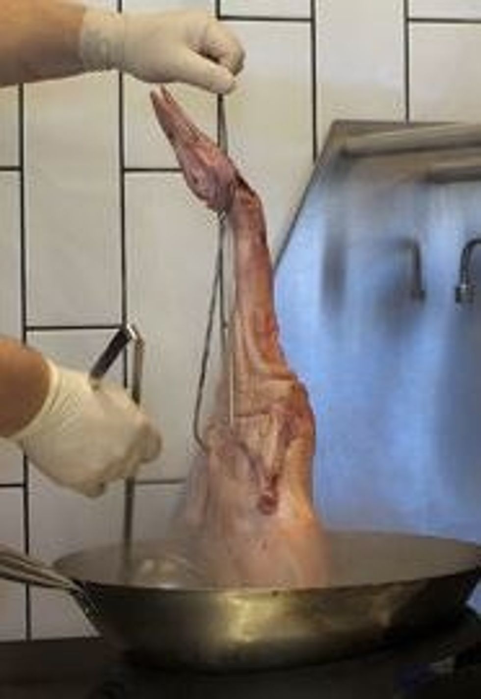 Ladle the boiling poaching liquid over the chilled duck for 20 seconds (skin will become tight).