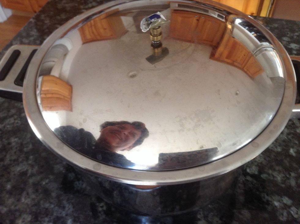 Large Stock Pot. Used for cooking. I can use a large stock pot to take a picture of my mom.