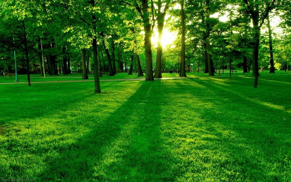 Las soluciones para la pobreza en el mundo pasan por acabar con la desigualdad en el acceso y en el uso de los recursos naturales.