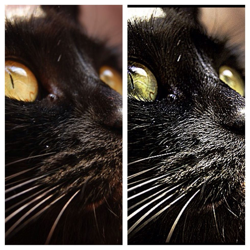 Lastly a comparison side-by-side to see the changes and differences.