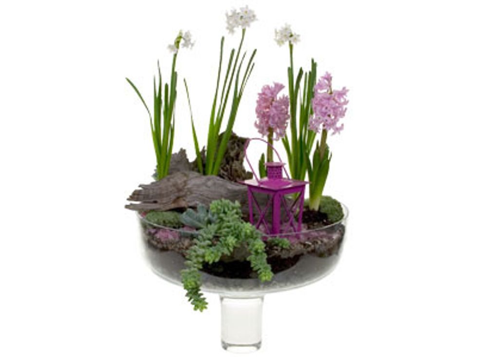 Lastly add extra treasures like moss, sea glass, rocks, and any other fun item that makes your garden sparkle.