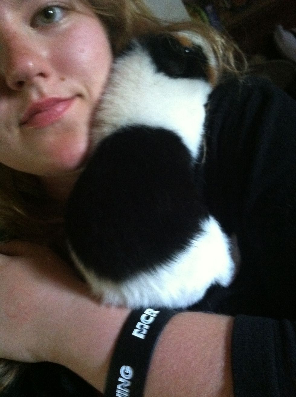 Lastly, give your guinea pig cuddle time/ play time. :) that makes them the happiest guinea pigs. Some like cuddling more than playing. Mine does. :)