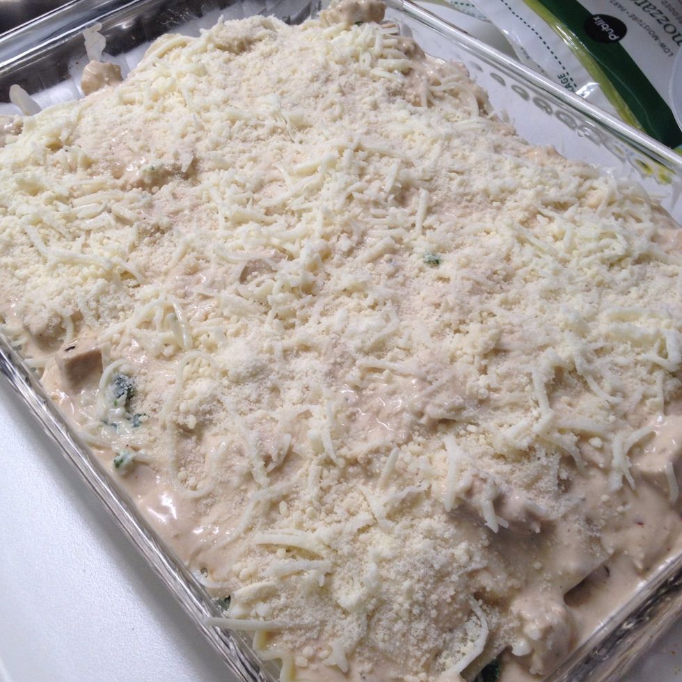 Lastly, repeat first layer of chicken alfredo sauce mixture and sprinkle the top with remaining cheese. Bake in 350degree Fahrenheit oven, for about 35-45 minutes. Or until cheese is brown and bubbly