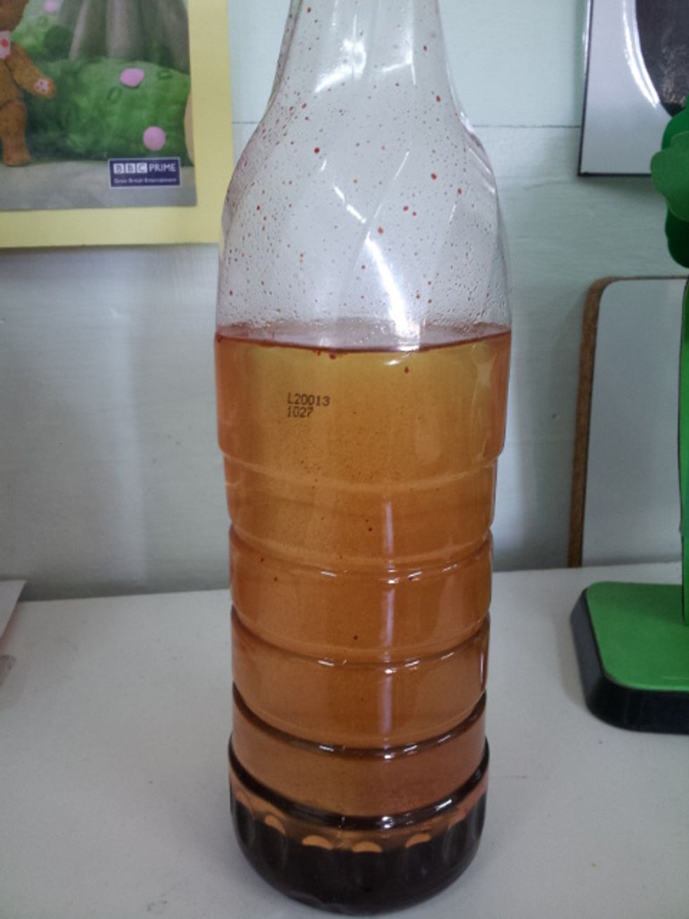 Later on we will add some more alka seltzer tablets to watch the bubbling process over again!! The End