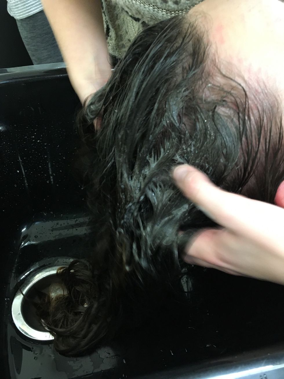 Lather shampoo in working form the top to the bottom