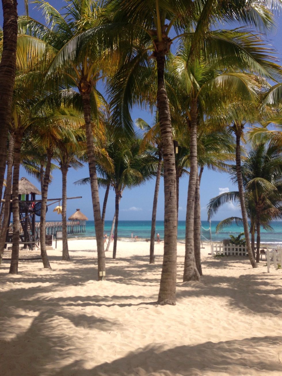 Laugh your hear out, dance in the rain, Cherish the moment, Ignore the pain, Live, laugh, love, Forgive and forget, Life's to short, to be living with regrets.