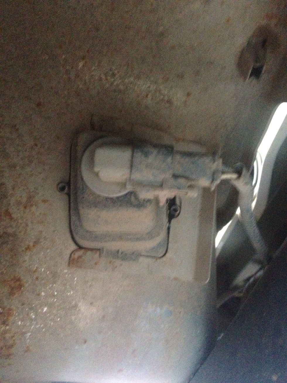 Lay down and look under the bumper and you should see something that looks like the picture above. There should be wires that are covered in a black cover that goes into a plug (I need a carwash).