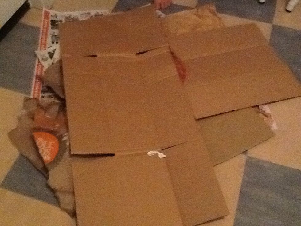 Lay down newspaper magazines and cardboard.
