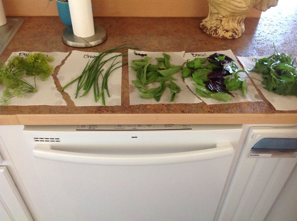 Lay herbs out on paper towels to dry