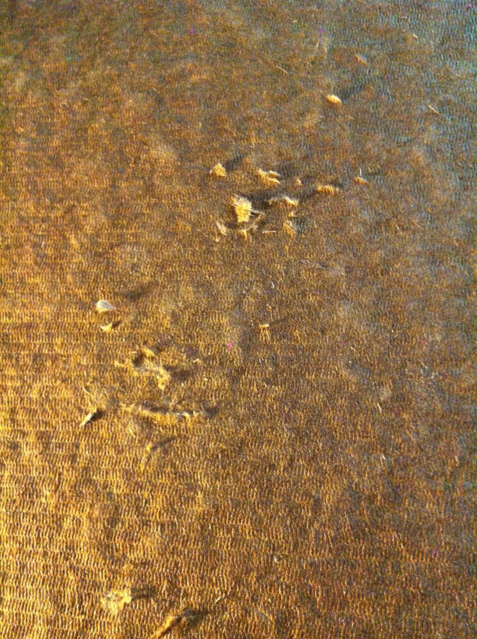 Lay out the board on your floor, table, or bed and press down any scratched up areas so the surface will be relatively even.