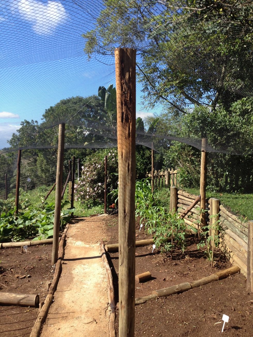 Lay out your round poles in the size of area you want and use your ready mixed cement to compact the pole into the ground