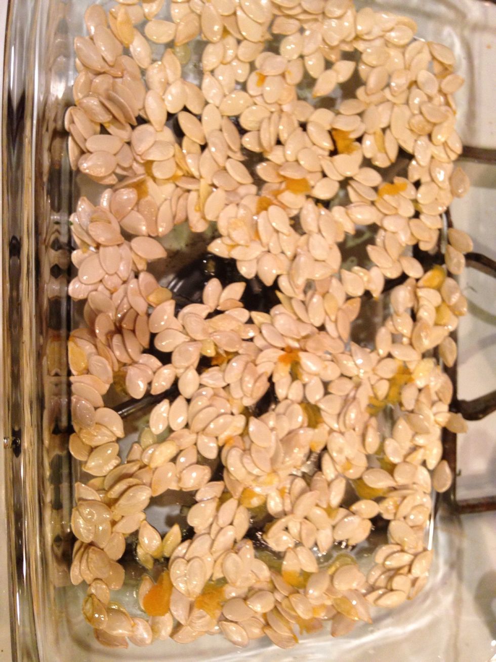 Lay out your seeds and let them dry overnight.