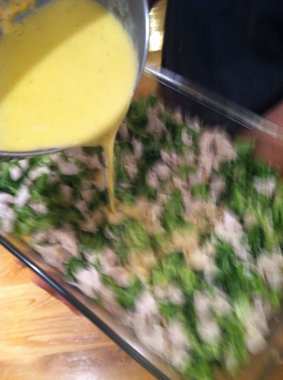 Lay put your chicken and broccoli and Pour the sauce you just made on top (sorry for the bad picture)