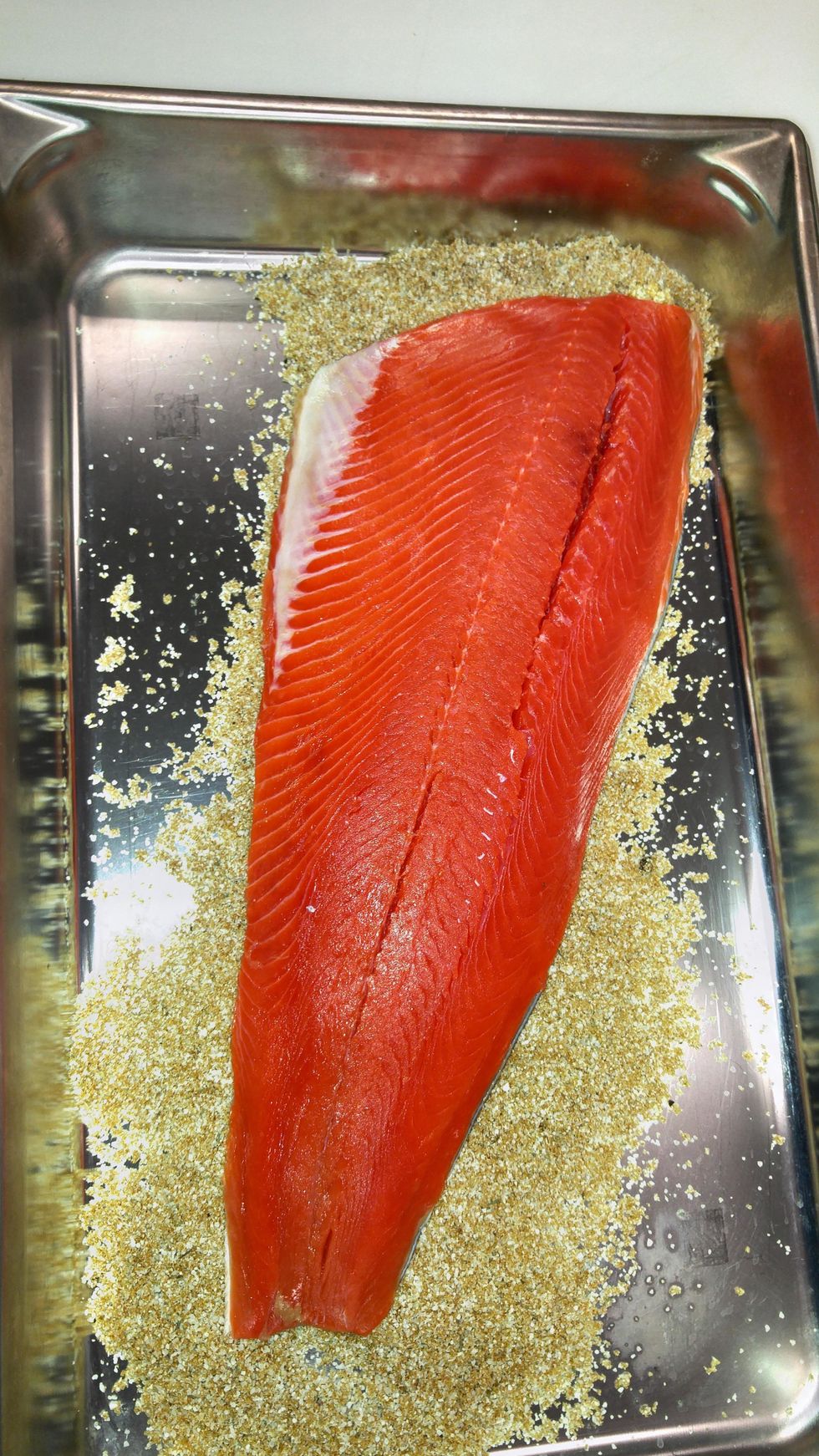 lay salmon, skin side down on the cure.