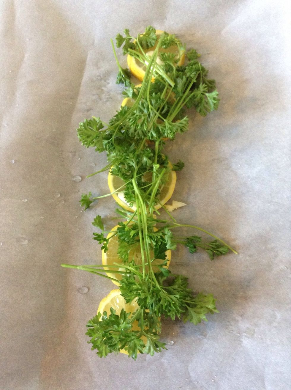 Lay the garlic on top of the lemons as well as sprigs of parsley or cilantro. You can also use dill, sage or any herb that you like.