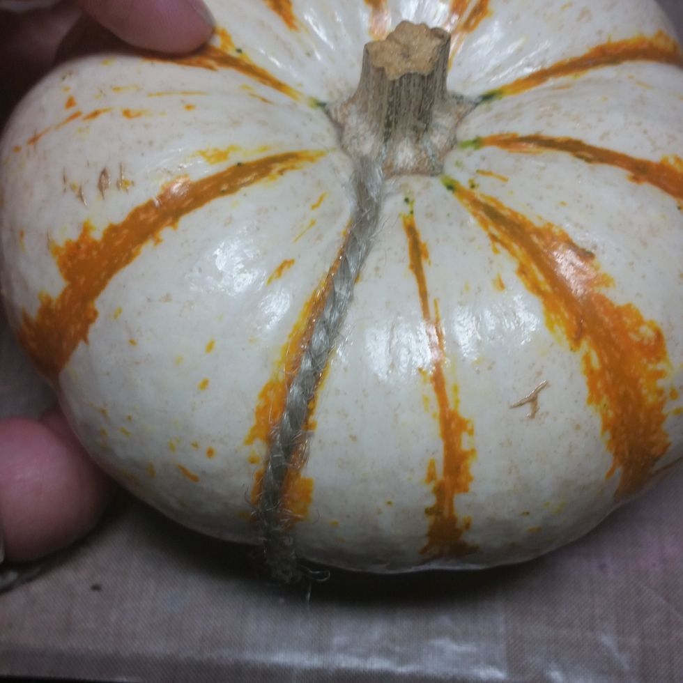 Lay the grey rope along your glue line from top to bottom in the groove.