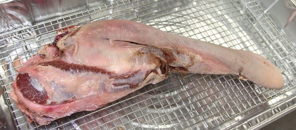 Lay the tongue on a grid in a pan