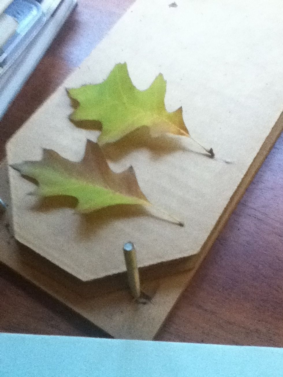 Lay them out on your sheet of cardboard in your press so that they're not touching.