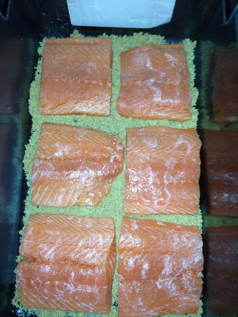 Lay your larger, thicker pieces like so, separated slightly over the brine mix.