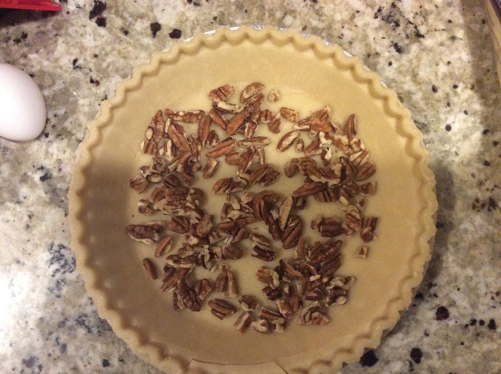 Layer bottom of pie crust with pecans