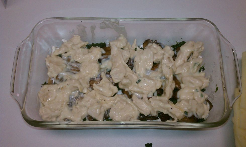 Layer chicken with Alfredo sauce