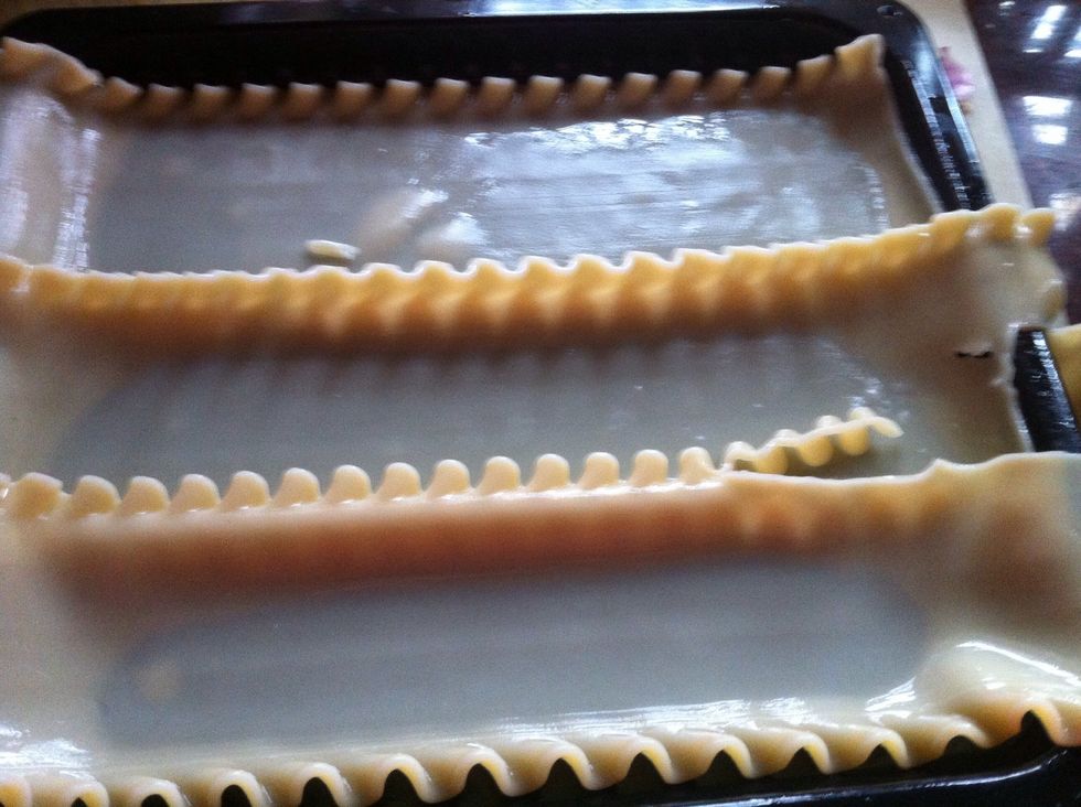 layer lasagne strips