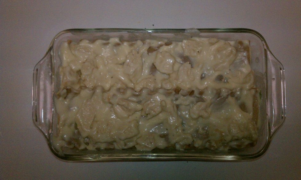 Layer of chicken and Alfredo sauce