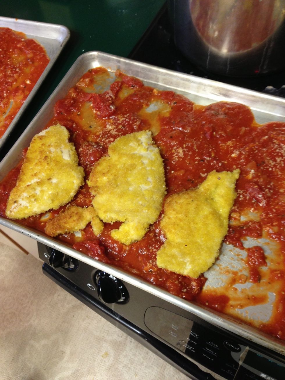 Layer the chicken on top of the marinara. Repeat cooking chicken and continue adding it to the marinara sheets