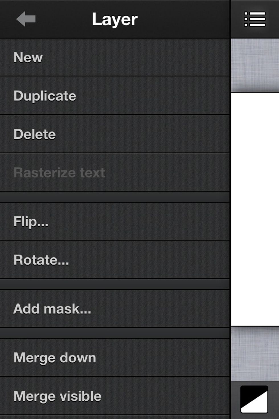 Layers menu. This is looking more and more like photoshop isn't it.