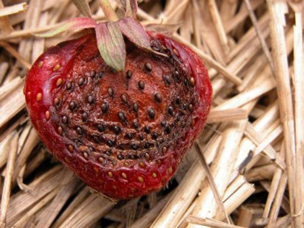 Learn about diseases so you can catch them before they do any harm