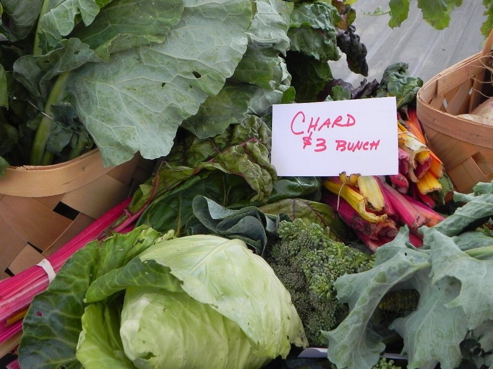 Learn where your food comes from, shop wisely for the best produce and delight in the joy of eating local, natural and healthy!