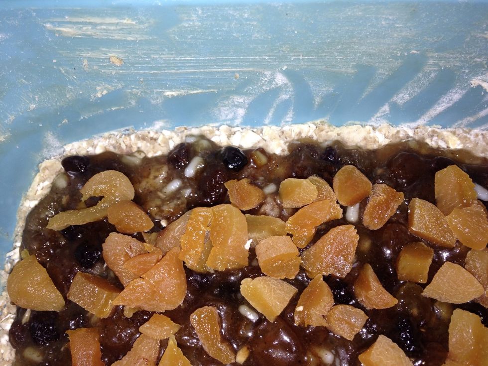 Leave a half centimetre gap around the edge to prevent the filling oozing out. I've chopped some extra apricots on the mincemeat to make it extra fruity .
