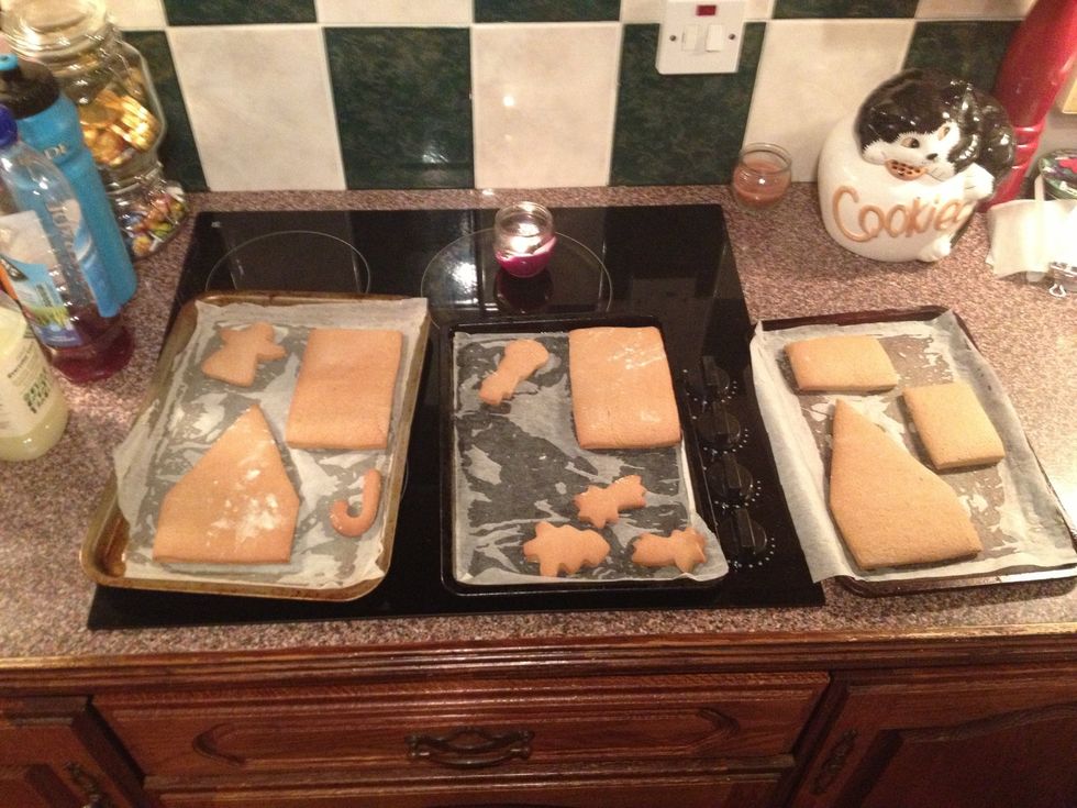 Leave them for ATLEAST 1/2 an hour before you even dream of touching them...
