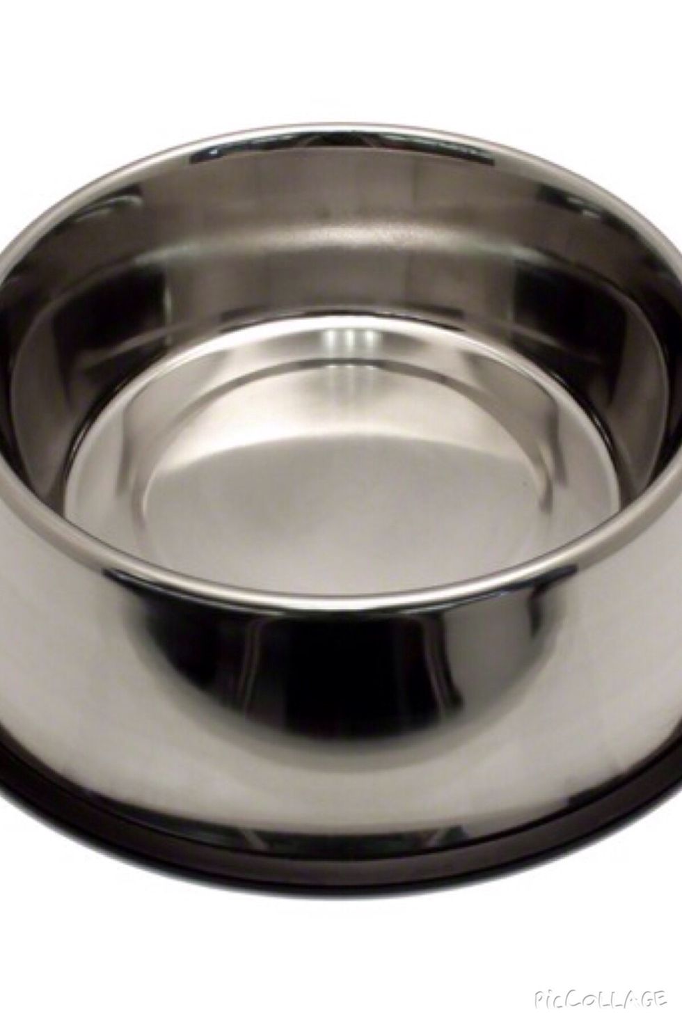 LEAVE WATER OUT ALL DAY EVERY DAY!! Change it frequently