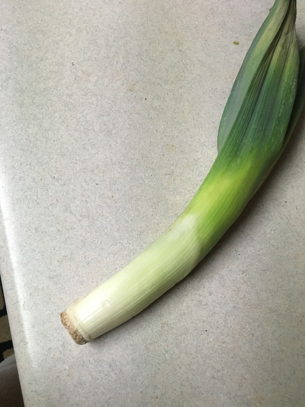 Leek