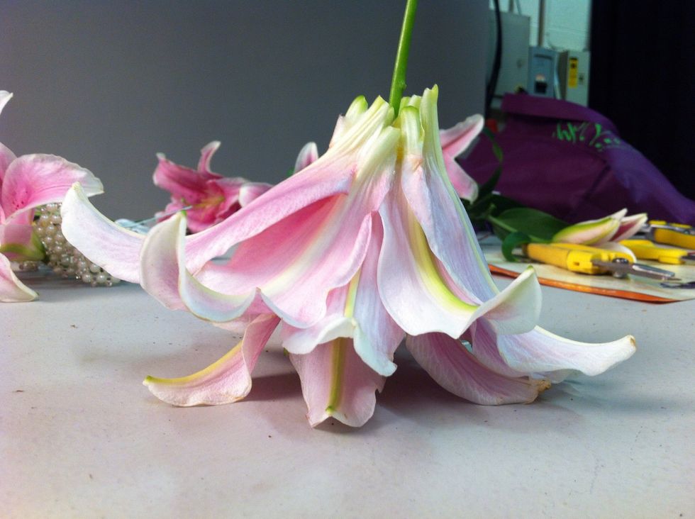 Let finished composite flower dry upside down.