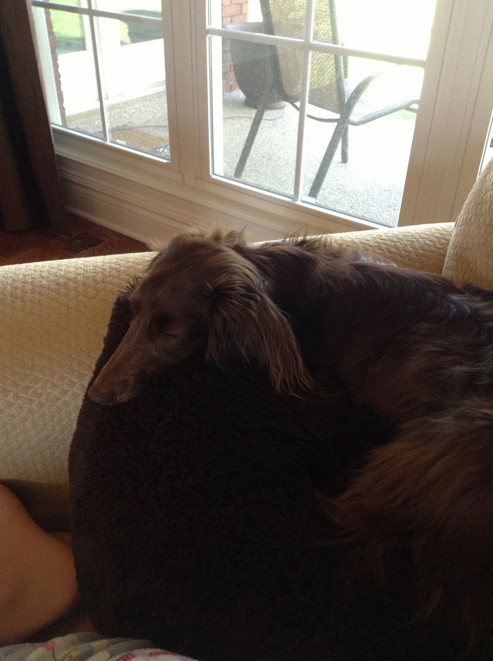 Let her rest! She needs her sleep. No one wants a dog that is agitated because you woke her up from her sleep. She has probably been working or playing hard and is worn out.\ud83d\udca4