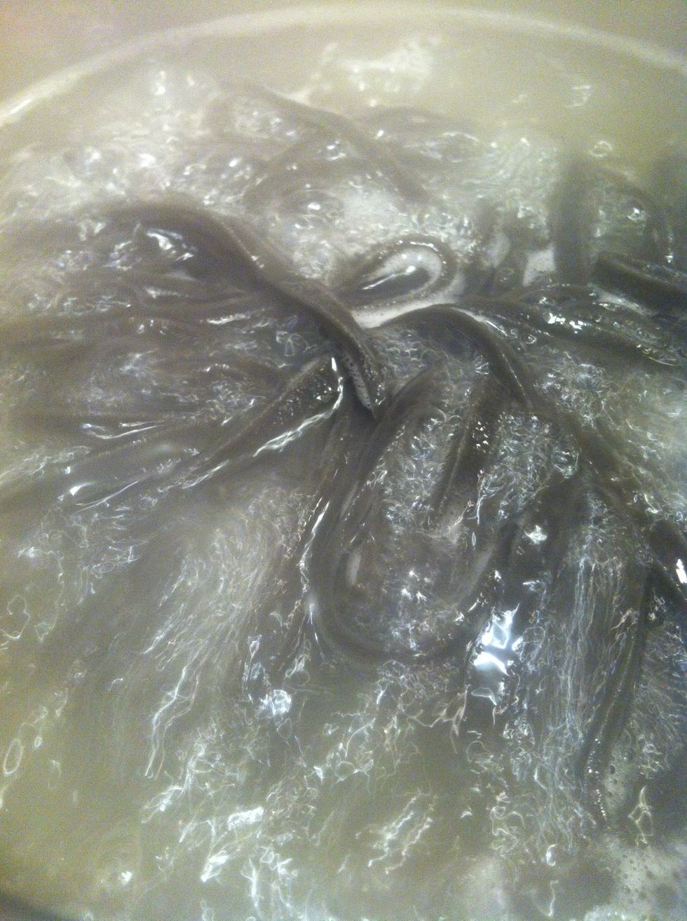 Let it boil