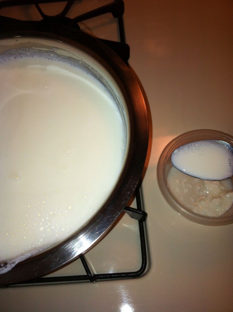 Let it cool down, once the milk is warm take a spoon of boiled milk and mix it in the yogurt we would be using to make the fresh one