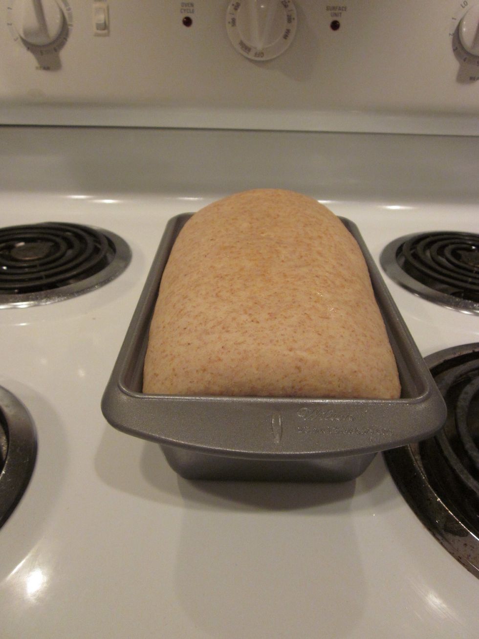 Let it rise for 89 minutes..... Ok 90 works too. After it rises with a slight edge, pop it in the oven @350on the center rack. Should be in for 35-45 min. Use your best judgment