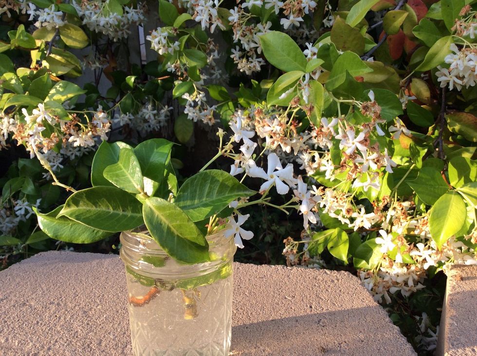 Let it sit in the sun