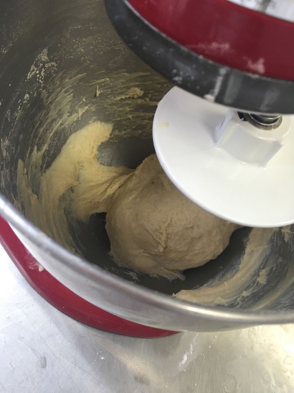 Let mix for another 4 minutes. (Dough should look like this after mixing.)