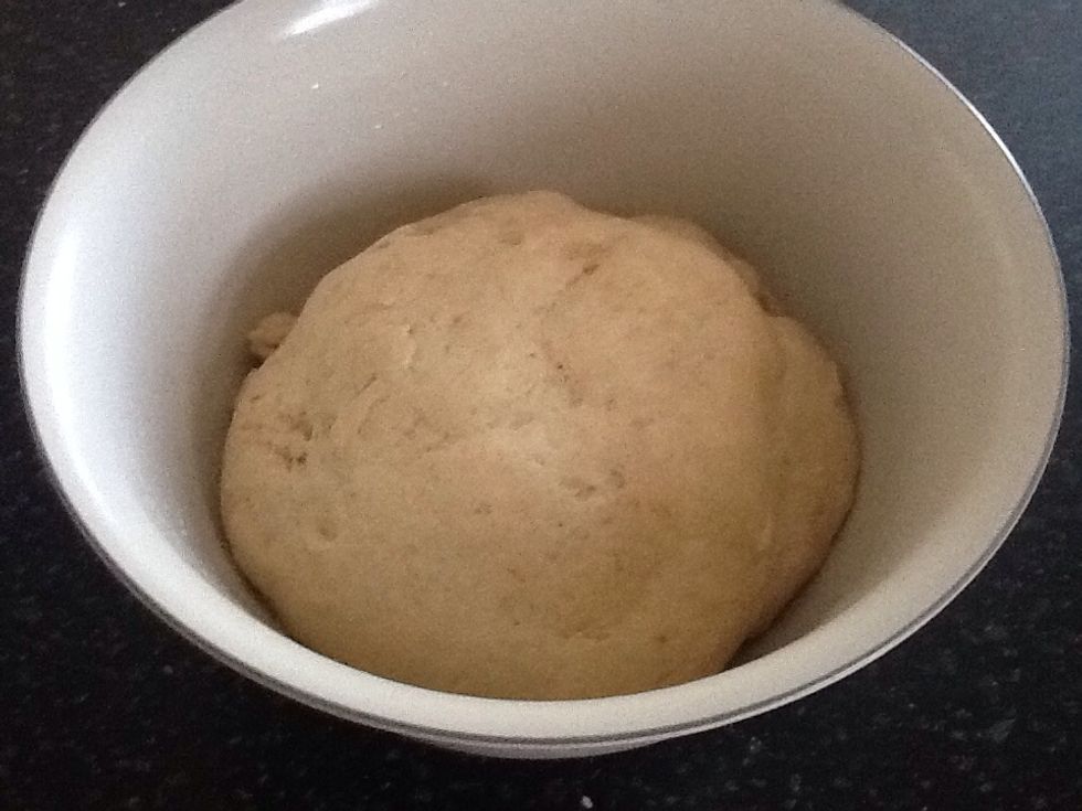 Let rise in a warm place for 1 hour or until doubled.