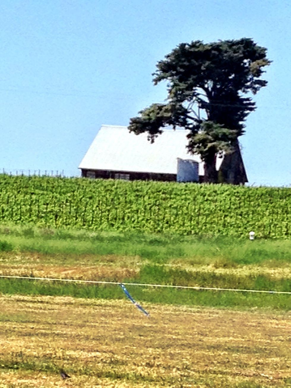 Let's move on to another winery...