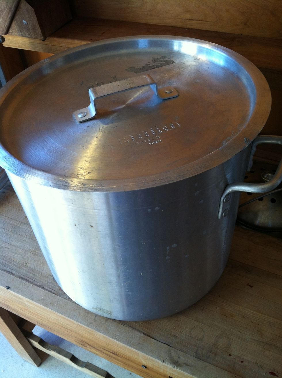 Let sit undisturbed for 8 hours, then refrigerate :)
