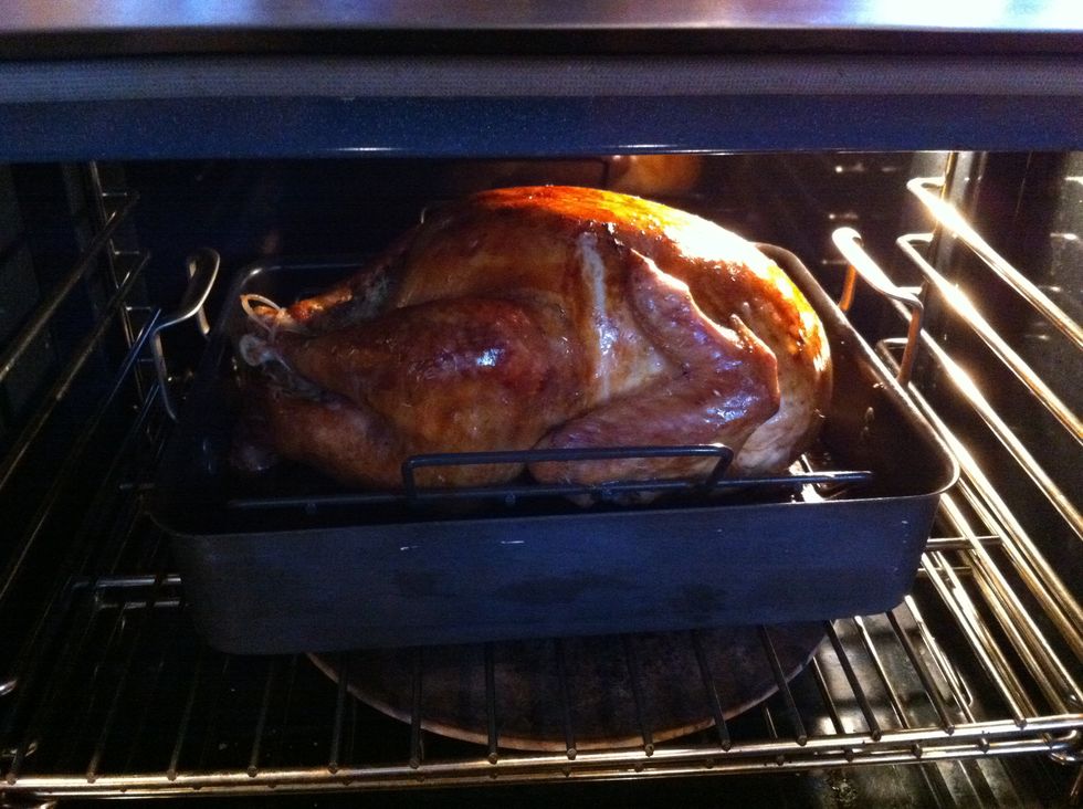 Let the bird roast until an instant read thermometer shows 170 degrees in the middle of the breast, the leg and thigh.